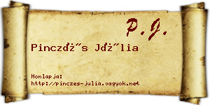 Pinczés Júlia névjegykártya